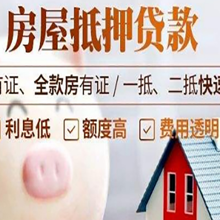 嵩县贷款助贷公司新渝启服靠谱公司