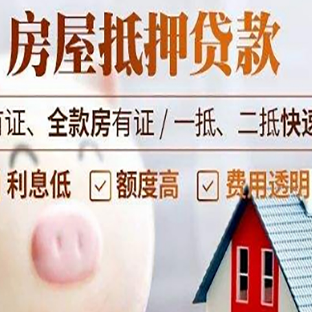 嵩县贷款助贷公司新渝启服成立时间久